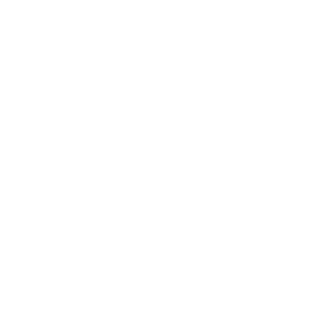 ninetyone logo
